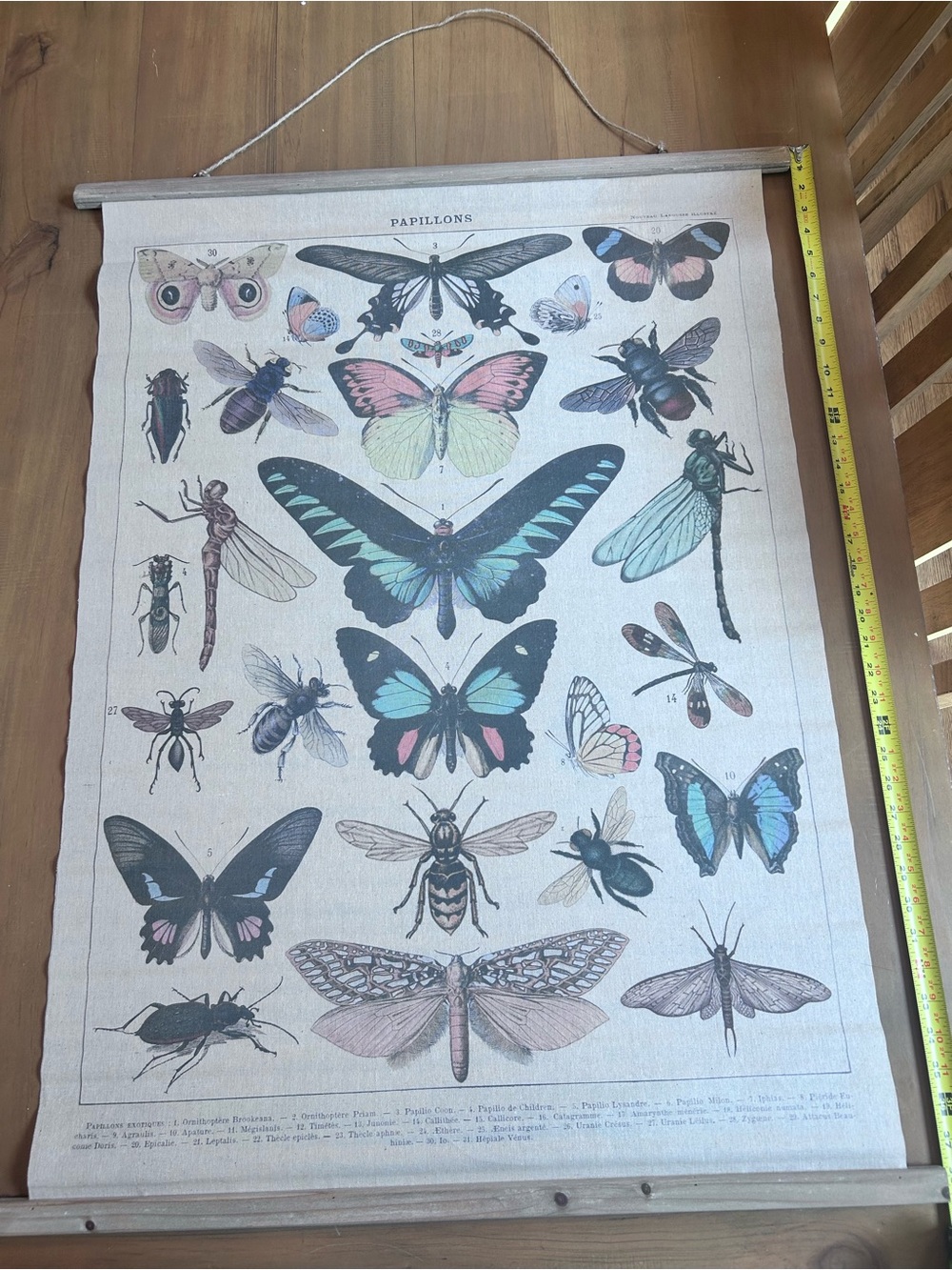 ASHLAND Butterfly Wall Hanging